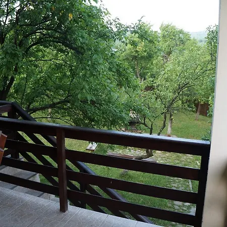Casa Paltinu Πανσιόν *