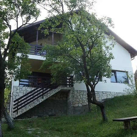 Πανσιόν Casa Paltinu