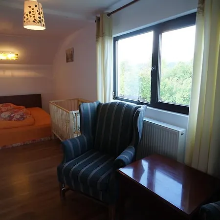 Casa Paltinu Πανσιόν