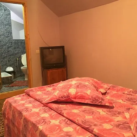 Πανσιόν Casa Paltinu Lunca Mare