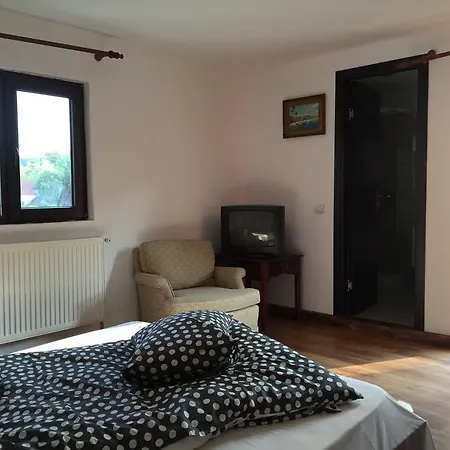 Casa Paltinu Πανσιόν *