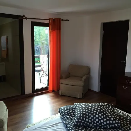 Πανσιόν Casa Paltinu